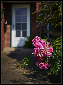 Uber Exif Photo