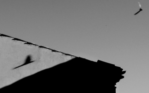 Uber Exif Photo