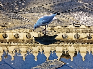 Uber Exif Photo