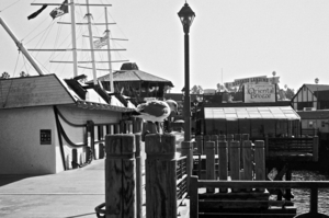Uber Exif Photo