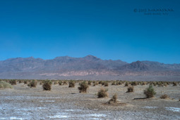 Uber Exif Photo