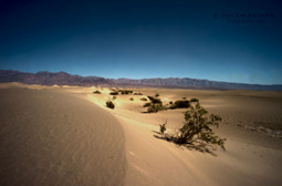 Uber Exif Photo