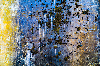 Uber Exif Photo