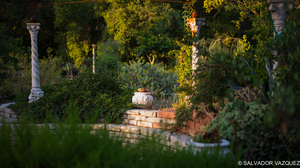 Uber Exif Photo