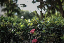 Uber Exif Photo