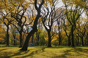 Uber Exif Photo