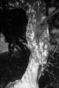 Uber Exif Photo