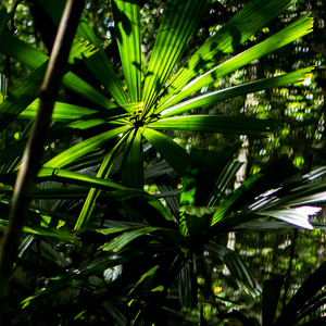 Uber Exif Photo