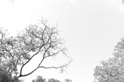 Uber Exif Photo