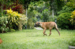 Uber Exif Photo