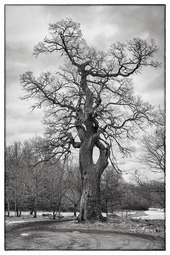 Uber Exif Photo