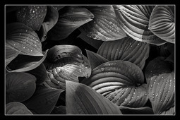 Uber Exif Photo