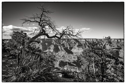 Uber Exif Photo