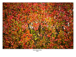 Uber Exif Photo