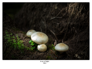 Uber Exif Photo