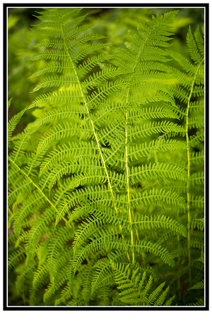 Uber Exif Photo