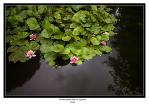 Uber Exif Photo