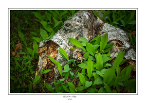 Uber Exif Photo