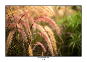 Uber Exif Photo