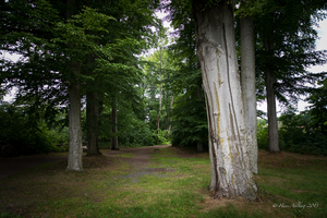 Uber Exif Photo