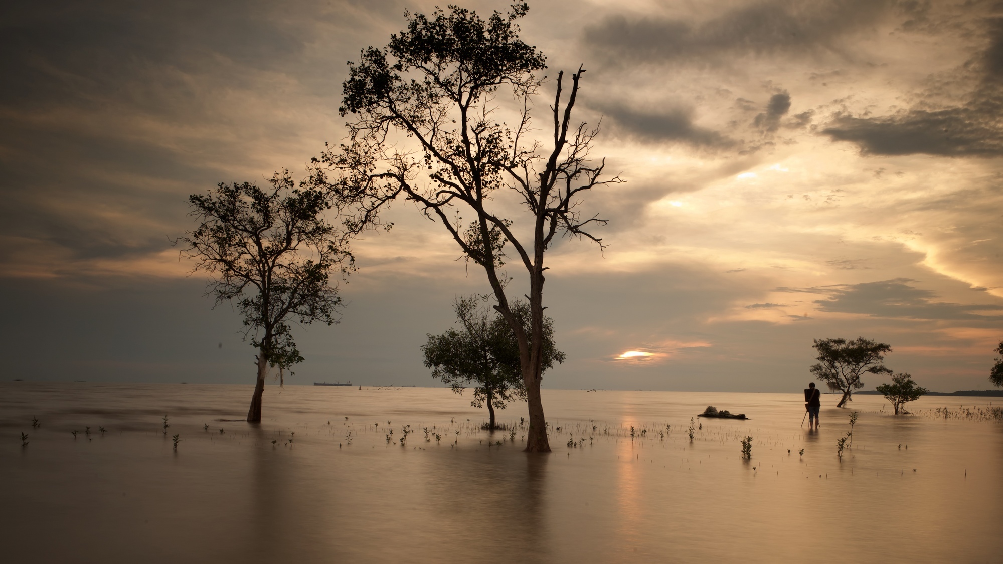 Pantai Kelanang, Selangor, Malaysia