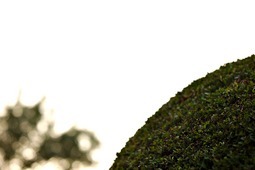 Uber Exif Photo