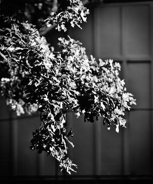 Uber Exif Photo