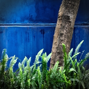Uber Exif Photo