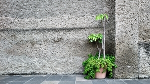 Uber Exif Photo