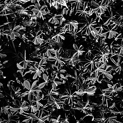 Uber Exif Photo