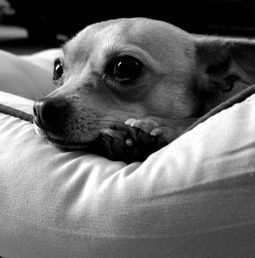 Uber Exif Photo