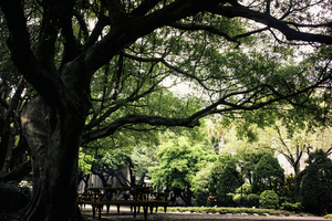 Uber Exif Photo