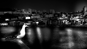 Uber Exif Photo