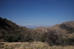 Uber Exif Photo