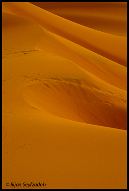 Uber Exif Photo