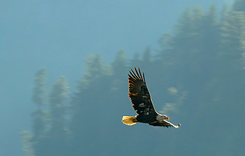 Uber Exif Photo