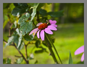 Uber Exif Photo
