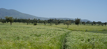 Uber Exif Photo