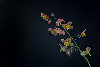 Uber Exif Photo