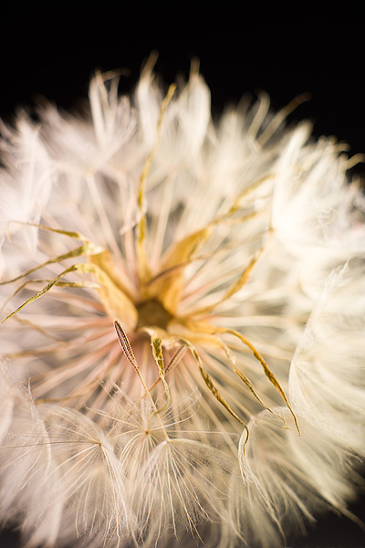Uber Exif Photo