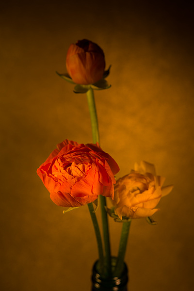 Uber Exif Photo