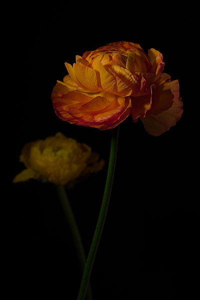 Uber Exif Photo