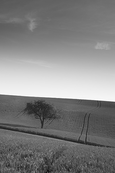 Uber Exif Photo