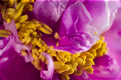 Uber Exif Photo