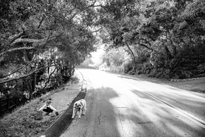 Uber Exif Photo