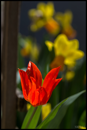 Uber Exif Photo
