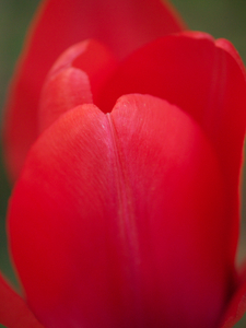 Uber Exif Photo