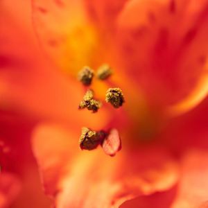 Uber Exif Photo