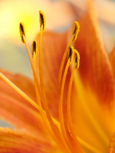 Uber Exif Photo