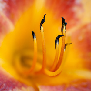 Uber Exif Photo